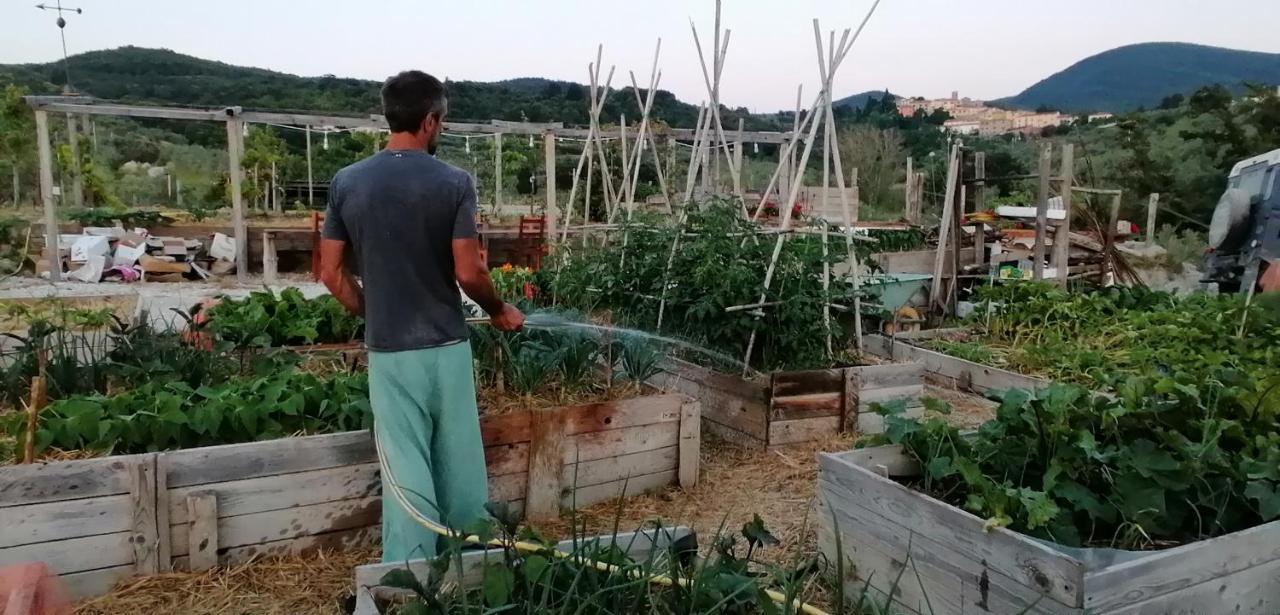 Agriturismo Podere Il Fornacino サンタ・ルーチェ エクステリア 写真