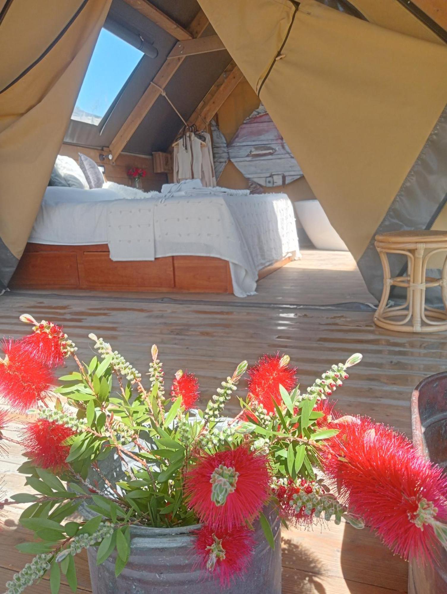 Agriturismo Podere Il Fornacino サンタ・ルーチェ エクステリア 写真