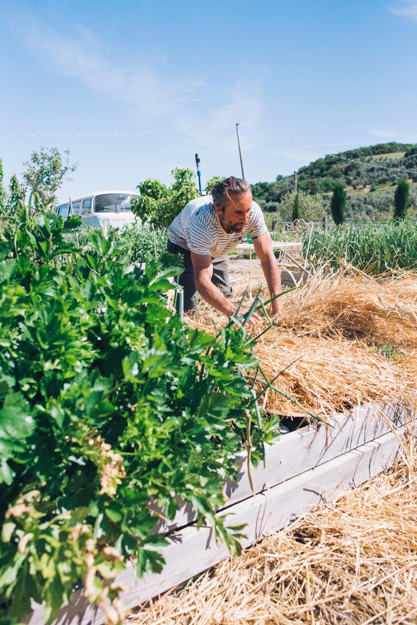 Agriturismo Podere Il Fornacino サンタ・ルーチェ エクステリア 写真